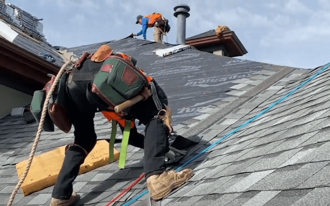 DIY Roof Repair: What You Need to Know
